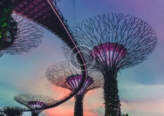 Architectural Beauty for Texture Lovers