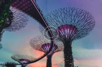 Architectural Beauty for Texture Lovers